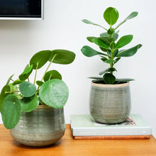 Load image into Gallery viewer, Como Hand Finished Indoor Ceramic Plant Pot H14cm D15cm