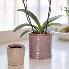 Load image into Gallery viewer, Chambray Reactive Glaze Ceramic Indoor Planter In Rose