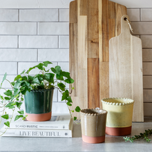 Load image into Gallery viewer, Adeline Beaded Edge Planter H13.5cm D14cm