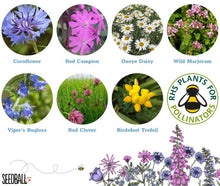 Load image into Gallery viewer, Bumblebee Seedball Wildflower Tins