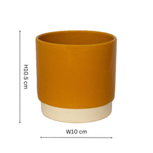 Load image into Gallery viewer, Enos Ceramic Indoor Plant Pot H10.5cm D10cm