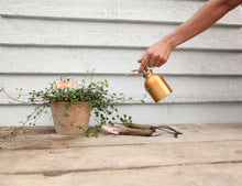 Load image into Gallery viewer, Copper Plated Mini Plant Tools