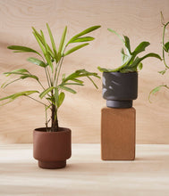 Load image into Gallery viewer, Botany Porcelain plant pot - Medium, 15cm