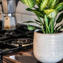 Load image into Gallery viewer, Como Hand Finished Indoor Ceramic Plant Pot H14cm D15cm