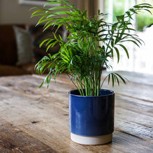 Load image into Gallery viewer, Enos Ceramic Indoor Plant Pot H13.5cm D13cm