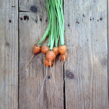 Load image into Gallery viewer, Carrot Paris Market
