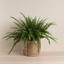 Load image into Gallery viewer, Jobu Round Seagrass Basket with Handles - Medium
