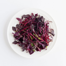 Load image into Gallery viewer, Beetroot Bull's Blood