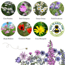 Load image into Gallery viewer, Artist Meadow Seedball Tin