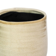 Load image into Gallery viewer, Como Hand Finished Indoor Ceramic Plant Pot H14cm D15cm