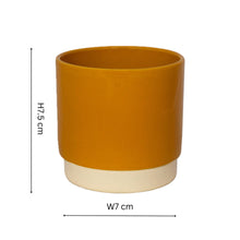 Load image into Gallery viewer, Enos Ceramic Indoor Cacti Plant Pot H7.5cm D7cm