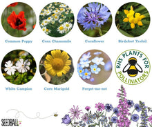Load image into Gallery viewer, Bumblebee Seedball Wildflower Tins