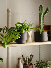 Load image into Gallery viewer, Botany Porcelain plant pot - Medium, 15cm