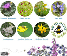 Load image into Gallery viewer, Bumblebee Seedball Wildflower Tins