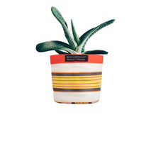 Load image into Gallery viewer, Eco Woven Plant Pot Cover - Small 14cm