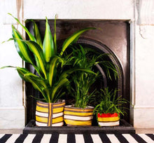 Load image into Gallery viewer, Eco Woven Plant Pot Cover - Large 25cm