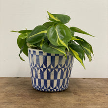 Load image into Gallery viewer, Old Style Dutch Pots - MEDIUM - Blue