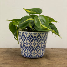 Load image into Gallery viewer, Old Style Dutch Pots - MEDIUM - Blue