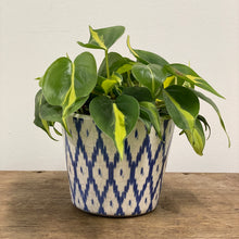 Load image into Gallery viewer, Old Style Dutch Pots - MEDIUM - Blue