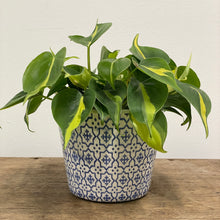 Load image into Gallery viewer, Old Style Dutch Pots - MEDIUM - Blue