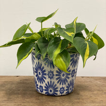 Load image into Gallery viewer, Old Style Dutch Pots - MEDIUM - Blue