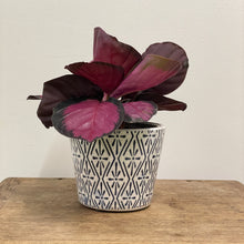 Load image into Gallery viewer, Old Style Dutch Pots - MEDIUM - Navy Blue