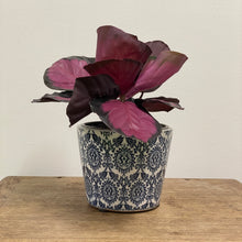 Load image into Gallery viewer, Old Style Dutch Pots - MEDIUM - Navy Blue