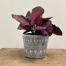 Load image into Gallery viewer, Old Style Dutch Pots - MEDIUM - Navy Blue