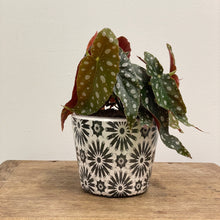 Load image into Gallery viewer, Old Style Dutch Pots - MEDIUM - Black