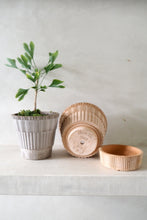 Load image into Gallery viewer, Bergs Atlas Pot - Grey