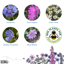 Load image into Gallery viewer, Thank You Seedball Wildflower Boxes