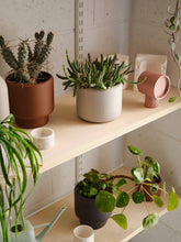 Load image into Gallery viewer, Botany porcelain plant pot - Large, 18.5cm