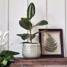 Load image into Gallery viewer, Como Hand Finished Indoor Ceramic Plant Pot H21cm & D26cm