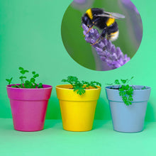 Load image into Gallery viewer, Artist Meadow Seedball Tin