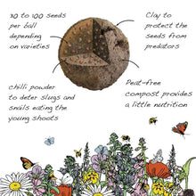 Load image into Gallery viewer, Wildflower Seedball Tube