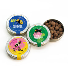Load image into Gallery viewer, Bumblebee Seedball Wildflower Tins