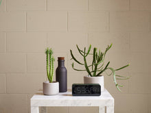 Load image into Gallery viewer, Botany Porcelain plant pot - Medium, 15cm