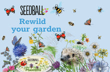 Load image into Gallery viewer, Bumblebee Seedball Wildflower Tins