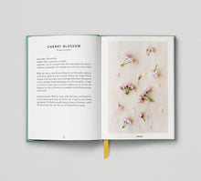 Load image into Gallery viewer, The Urban Forager