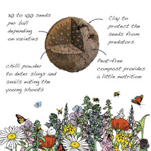 Load image into Gallery viewer, Artist Meadow Seedball Tin