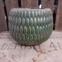 Load image into Gallery viewer, Armadillo Pot