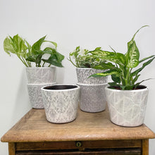 Load image into Gallery viewer, Old Style Dutch Pots - MEDIUM - Black