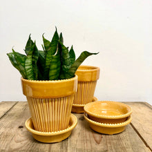 Load image into Gallery viewer, Bergs Simona Pot - Glazed Mustard