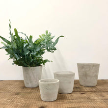 Load image into Gallery viewer, Concrete Pots