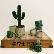 Load image into Gallery viewer, Sorrento Pots