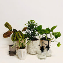 Load image into Gallery viewer, Glass Mister