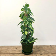 Load image into Gallery viewer, Bergs Copenhagen Pot - Green Glazed