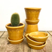 Load image into Gallery viewer, Bergs Copenhagen Pot - Mustard Glazed