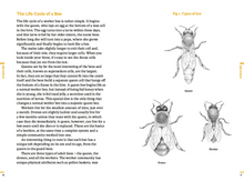 Load image into Gallery viewer, Do Beekeeping - The secret to happy honeybees