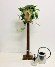 Load image into Gallery viewer, Scindapsus pictus argyraeus- Silver Satin Pothos, 15cm Pot